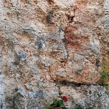 Casa Michela, 300m Dal Mare * Santa Cesarea Terme